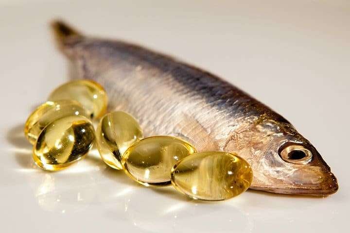Uses of Fish