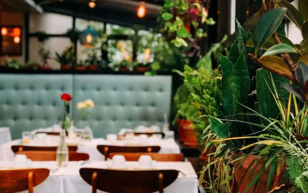 Pakistani Restaurant New York
