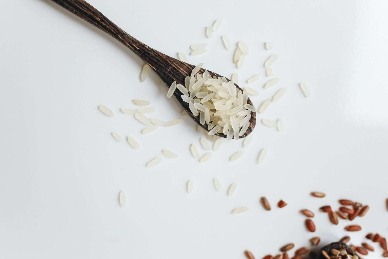 List of Rice Exporters in Pakistan
