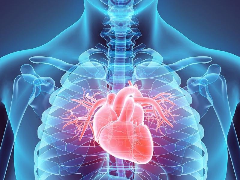 Best Cardiologists In Quetta