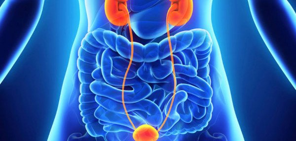 Female Urologist Karachi