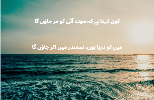 shero shayari