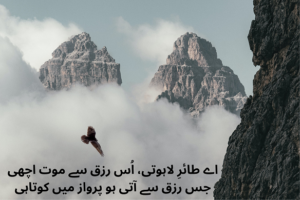 Allama Iqbal Poetry in Urdu pdf