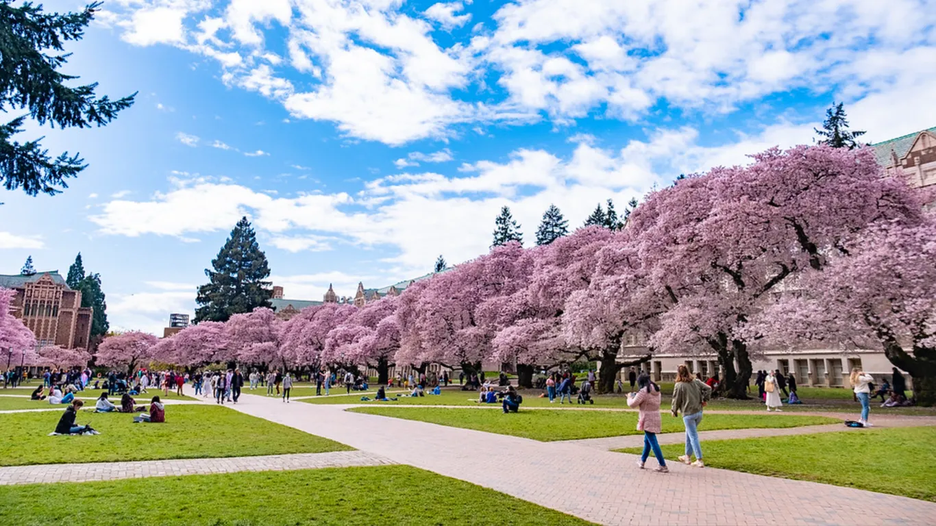 image of university of washington