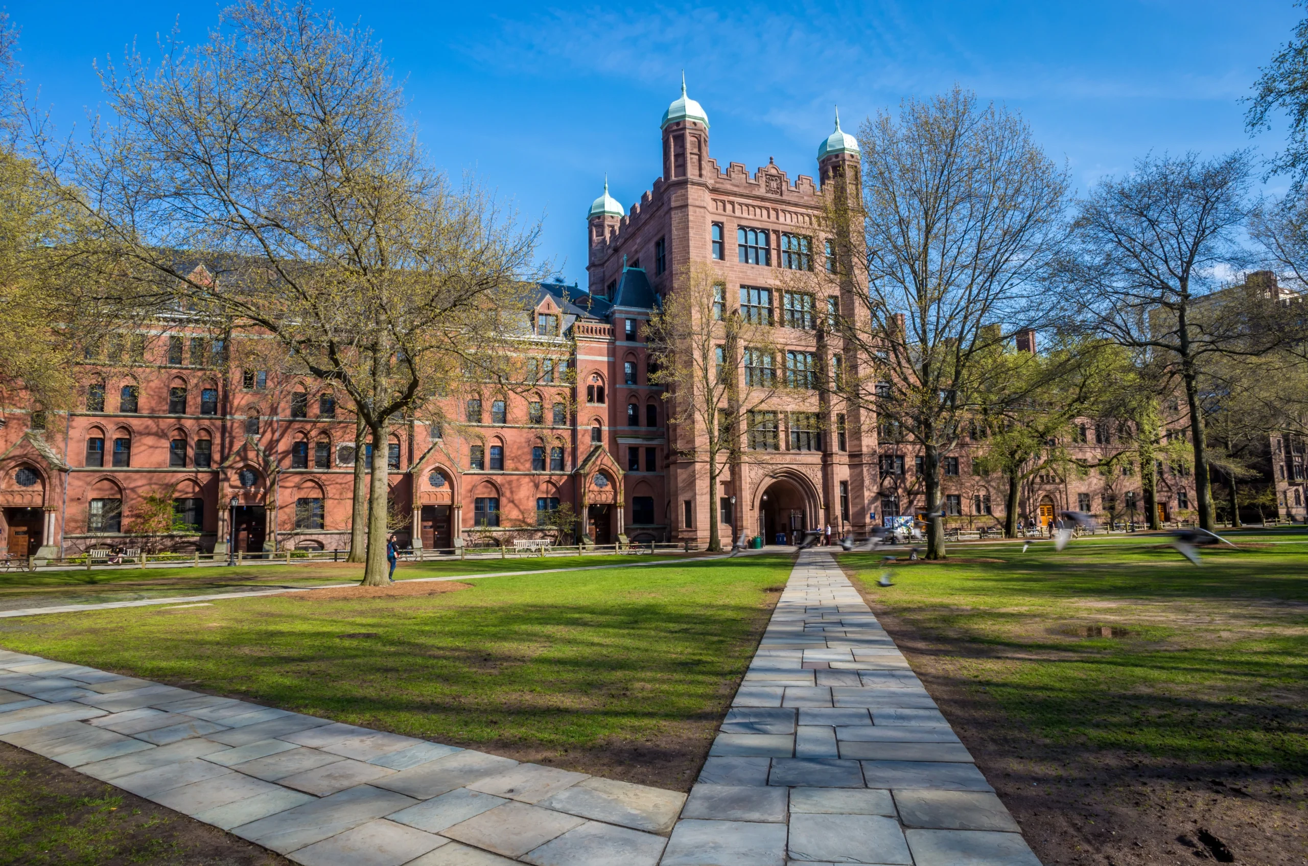 image of Yale University